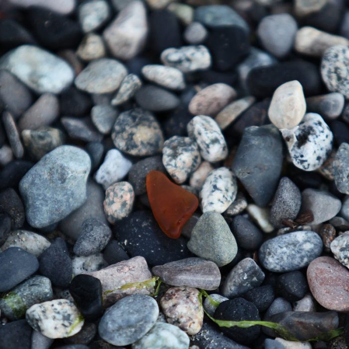 Home Sechelt Hospital Foundation